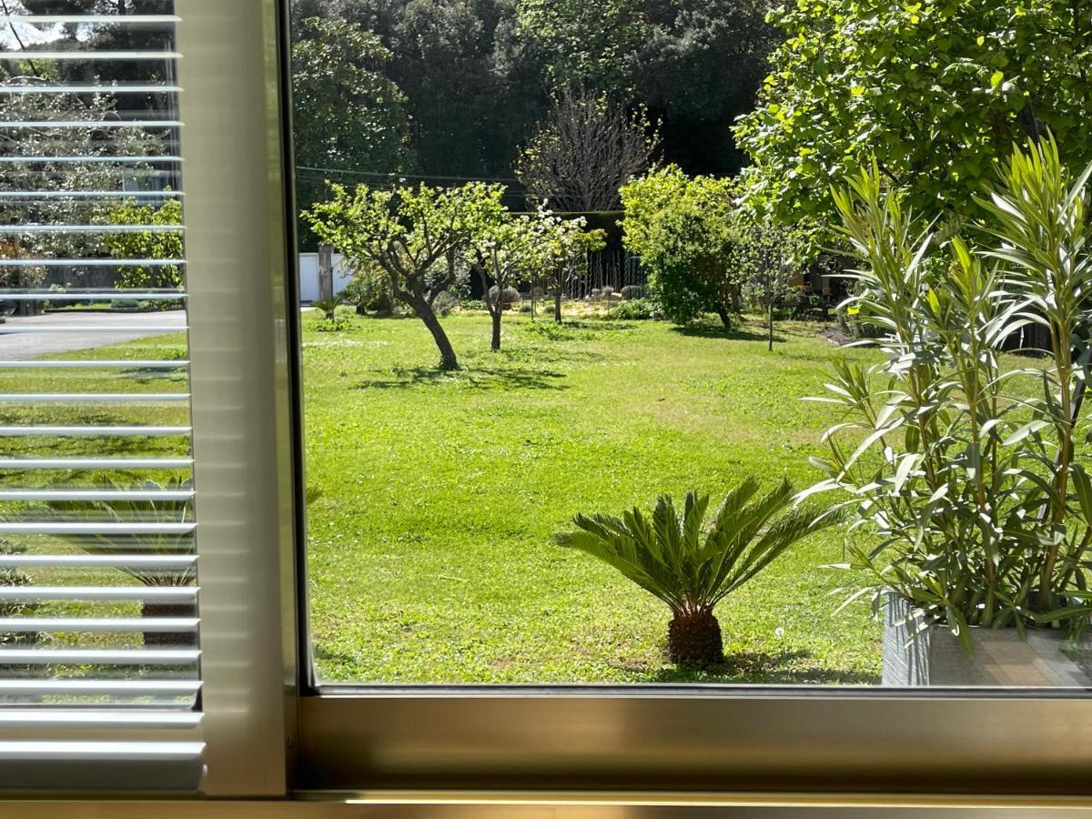 Studio Tout Confort Au Calme Avec Jardin Proche Cannes ル·カネ エクステリア 写真