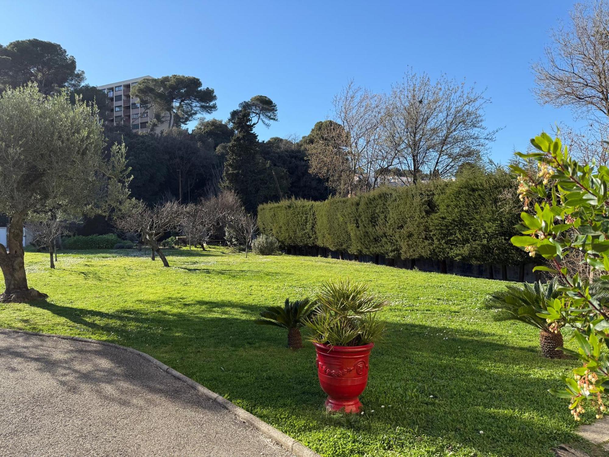 Studio Tout Confort Au Calme Avec Jardin Proche Cannes ル·カネ エクステリア 写真